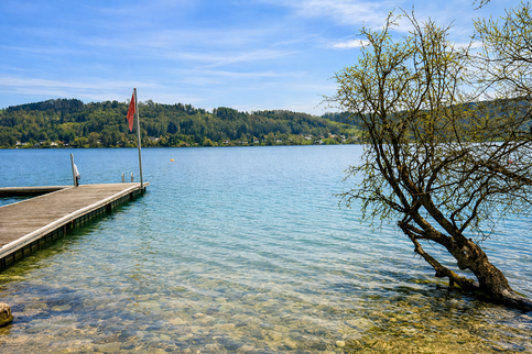 Idyllischer_Seeuferblick_mit_Dock_und_Baum